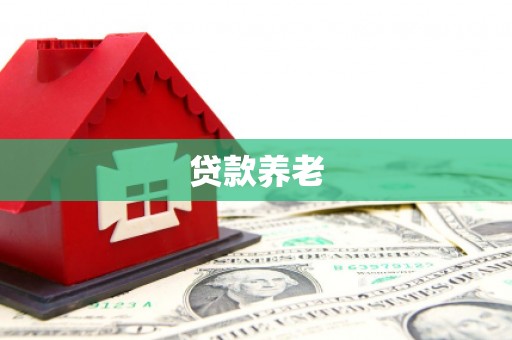扎囊贷款养老