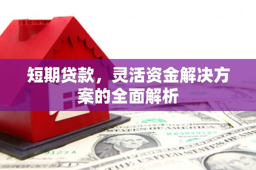 扎囊短期贷款，灵活资金解决方案的全面解析