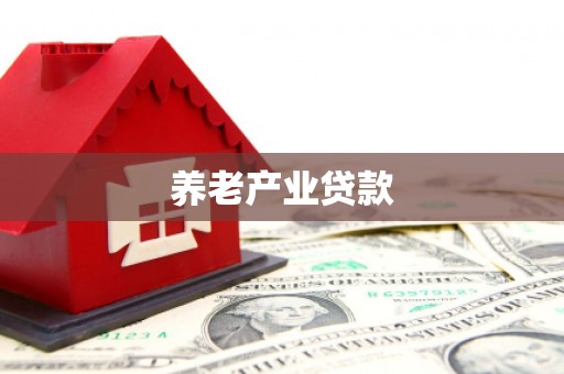 扎囊养老产业贷款