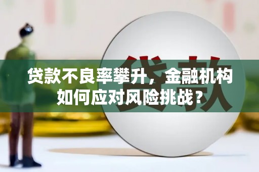 扎囊贷款不良率攀升，金融机构如何应对风险挑战？