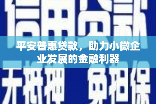 扎囊平安普惠贷款，助力小微企业发展的金融利器