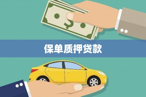 扎囊保单质押贷款
