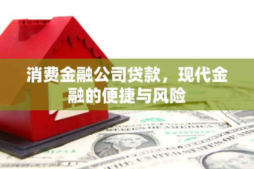 扎囊消费金融公司贷款，现代金融的便捷与风险