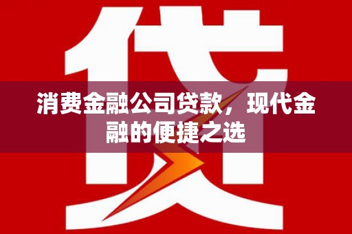 扎囊消费金融公司贷款，现代金融的便捷之选