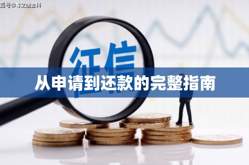 扎囊从申请到还款的完整指南