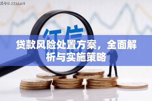 扎囊贷款风险处置方案，全面解析与实施策略