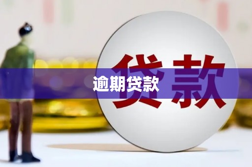 扎囊逾期贷款