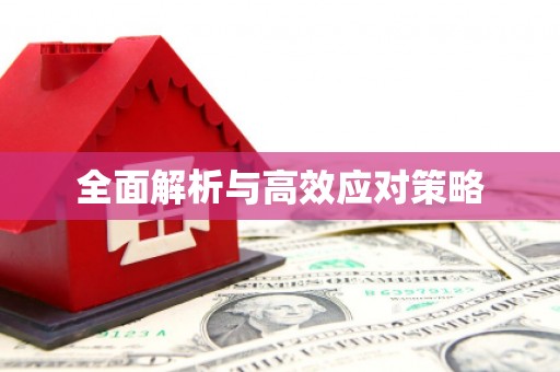 扎囊全面解析与高效应对策略